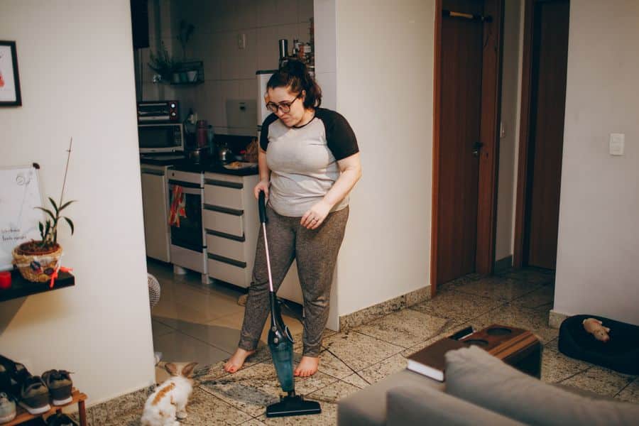 aspiradora domestica mascota sala 2 Aspiradora doméstica y mascota en sala
